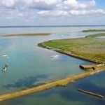 BYC Solent Meet Picnic
